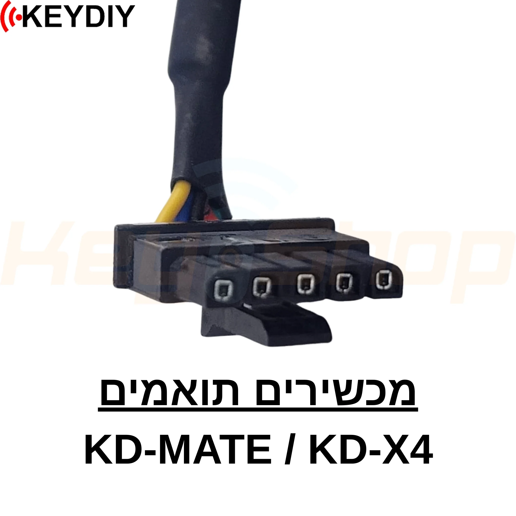 תמונת מוצר 2