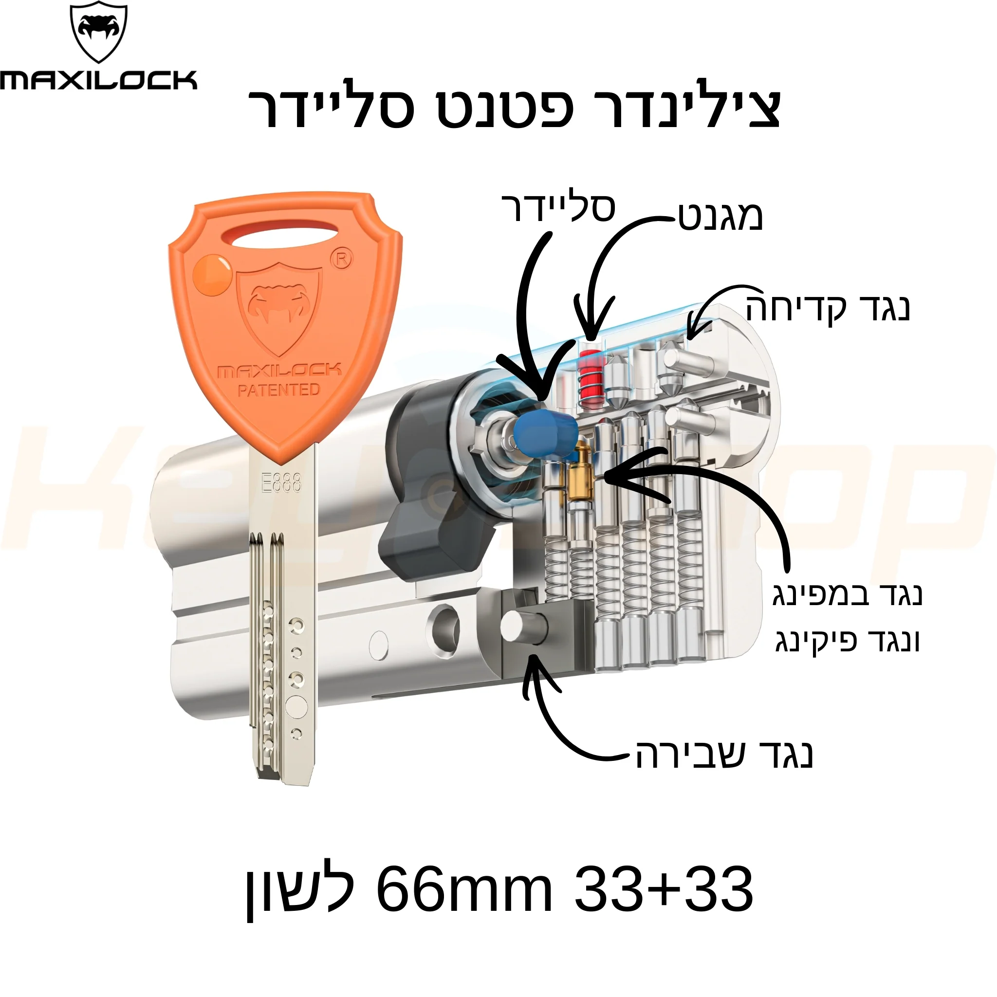 תמונת מוצר 1